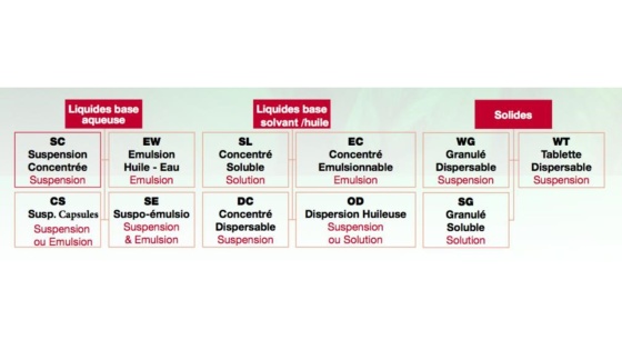 formulation wg