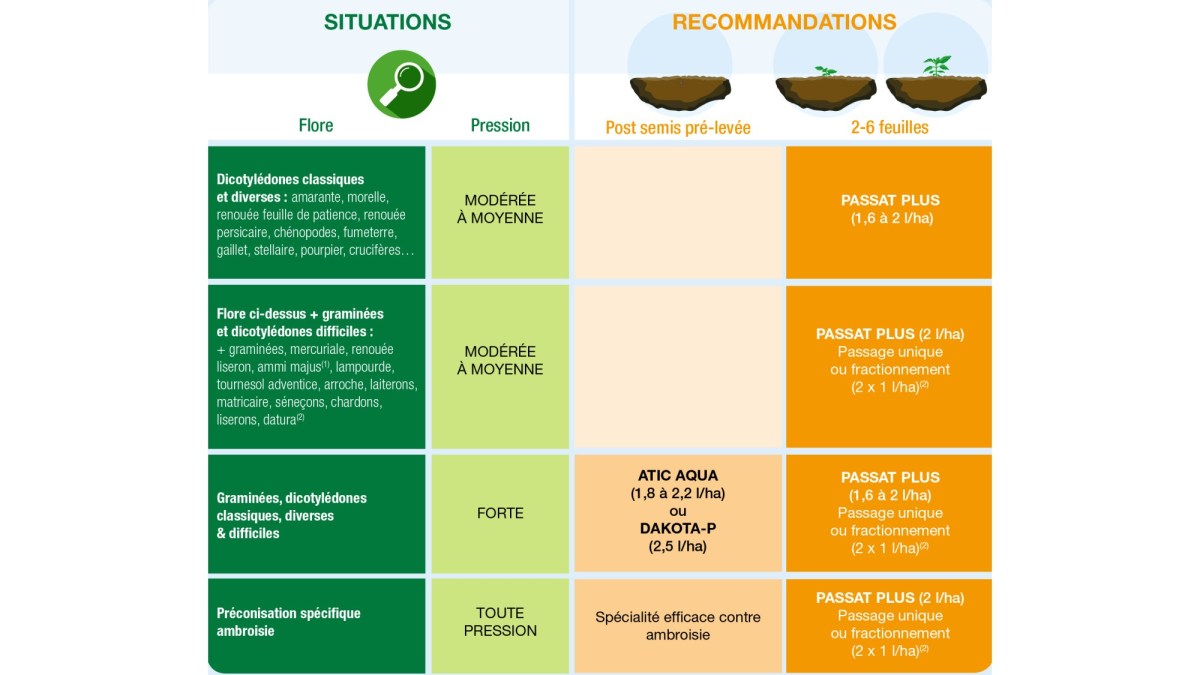 recommandations d'utilisation Passat Plus