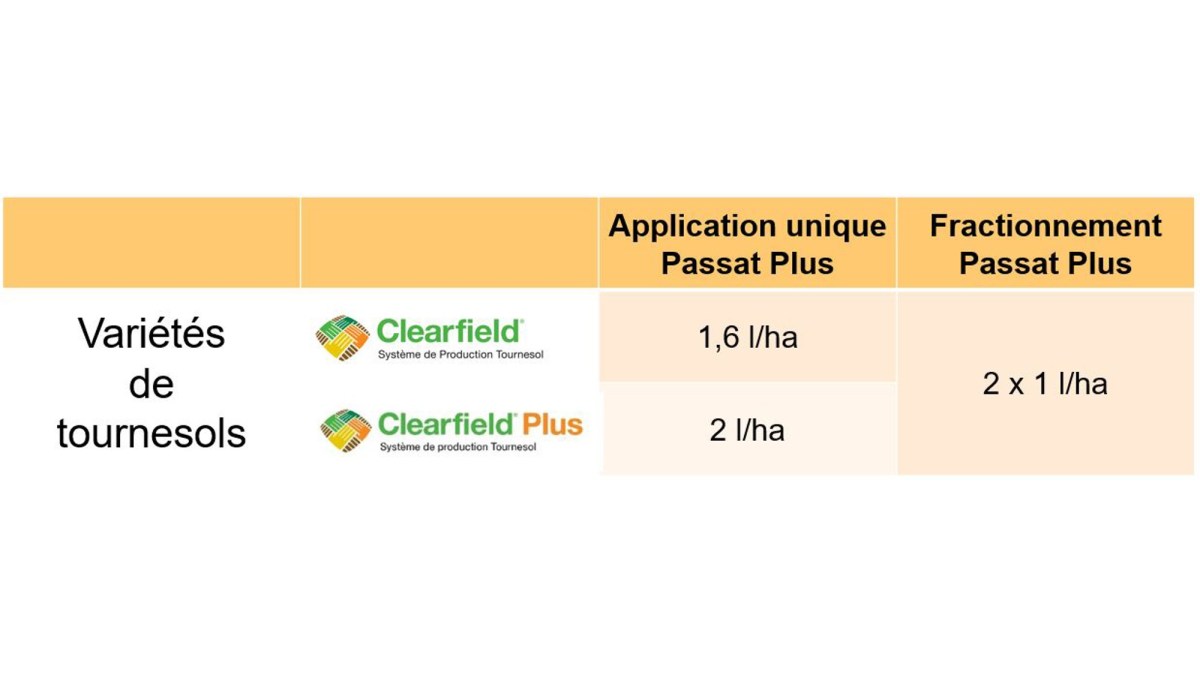 Recommandations application Passat Plus