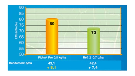 Pictor Pro efficacité sur sclérotinia