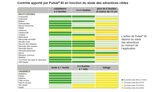 Pulsar 40 efficacité