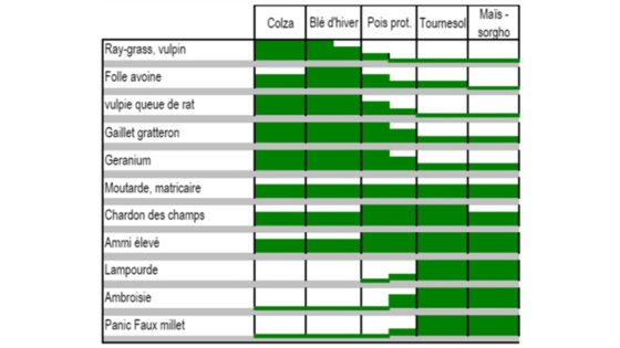 Importance de la flore adventice en fonction des cultures de la rotation