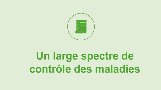 Forte activité intrinsèque grâce à sa flexibilité moléculaire et très haute affinité à sa cible