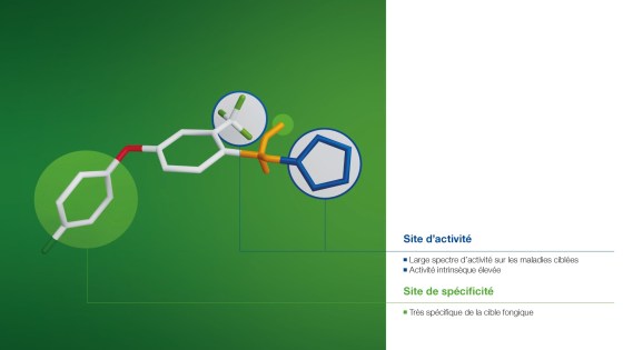 revysion combinaison de performances et sélectivité