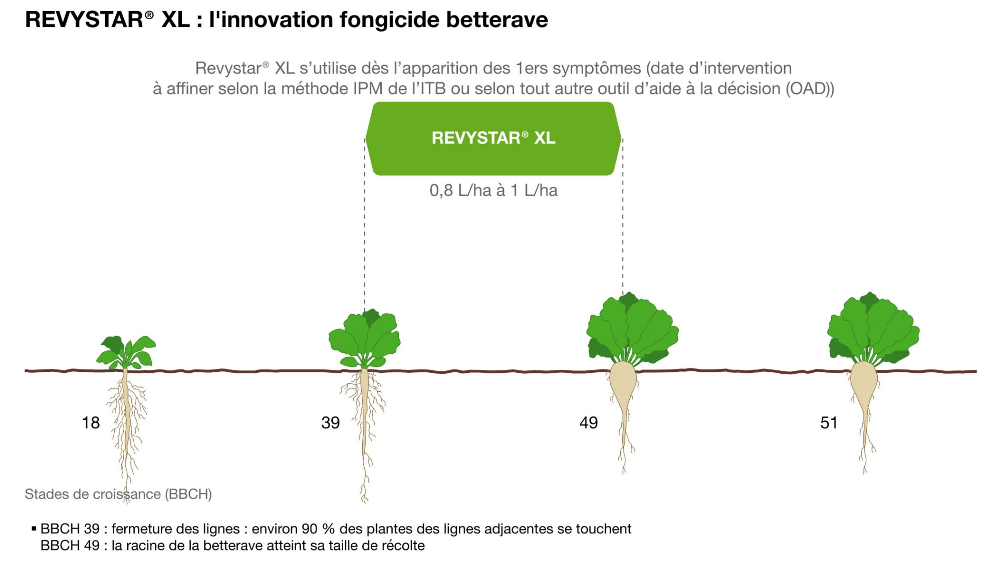 Revystar® XL sur blé et betteraves