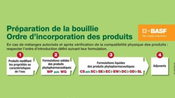 Préparation de la bouillie