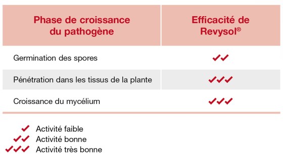 revysol action préventive et curative