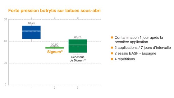 signum sur botrytis