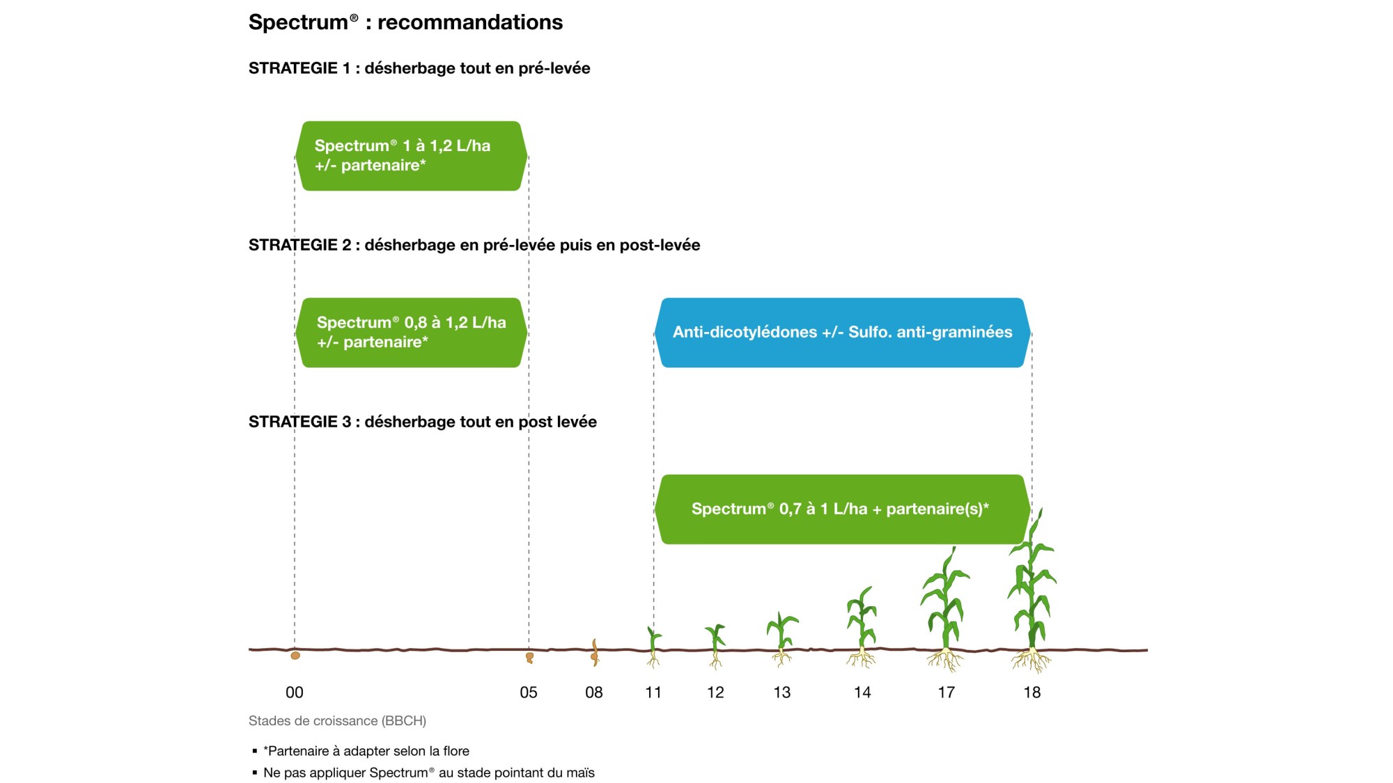 Spectrum sur maïs et betteraves
