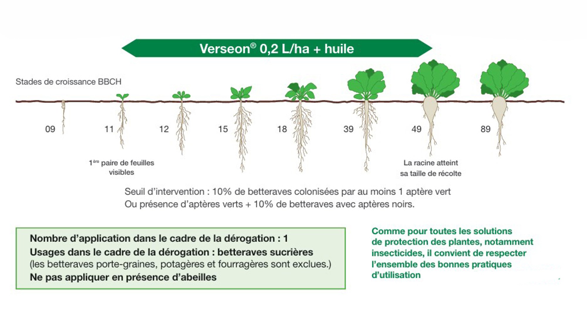 conditions d'emploi de verseon sur betteraves