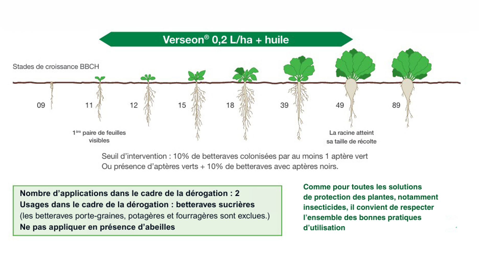 conditions d'emploi de verseon sur betteraves