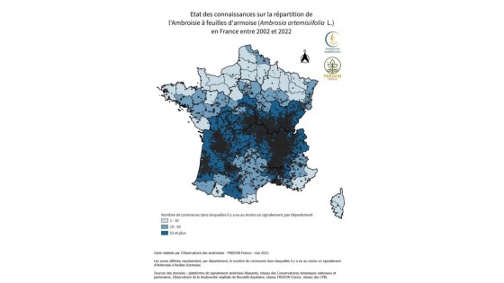 Répartition de l'ambroisie à feuilles d'armoise