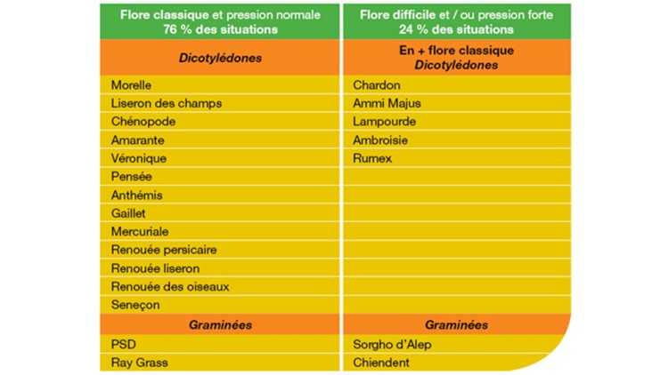 Desherbage du tournesol avec Clearfield : Bilan de 2 ans d’études