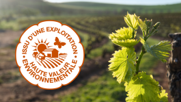 HVE en vigne, un pas vers la transition agroécologique