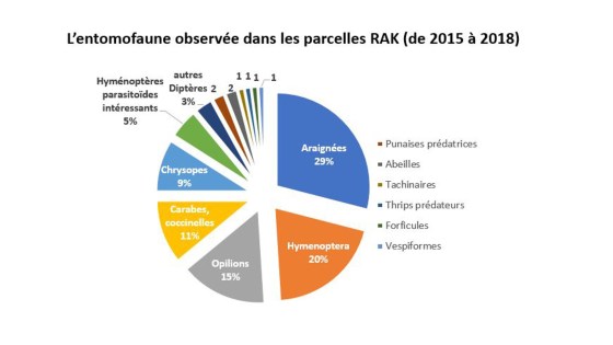 Les auxiliaires de la vigne