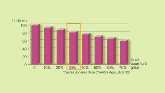 Rentabilité des traitements anti-botrytis