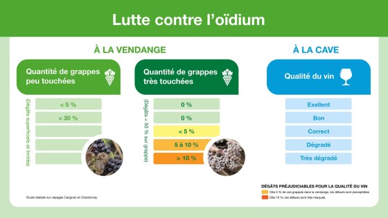 Lutte contre l'oïdium de la vigne