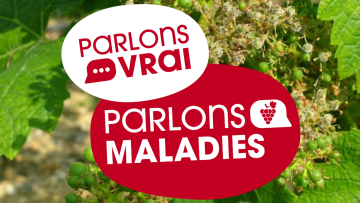 Se protéger efficacement contre les maladies