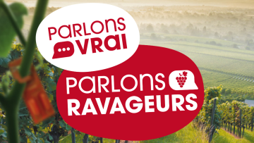 Lutter efficacement contre les ravageurs