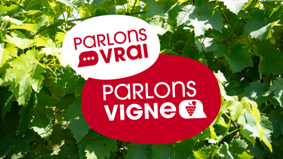 Parlons Vrai, Parlons Vigne