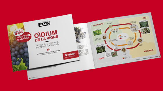 Maîtrisez l’oïdium dès aujourd’hui 