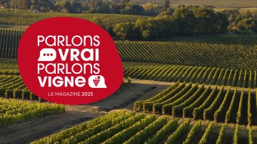 Oïdium : agir face à une pression qui s'intensifie