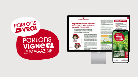 Floraison de la vigne : nouvelles règles, changements de pratiques