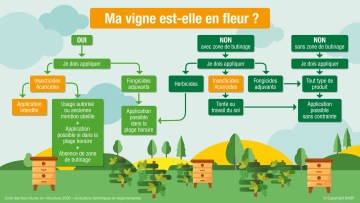 Réglementation pollinisateurs en vigne