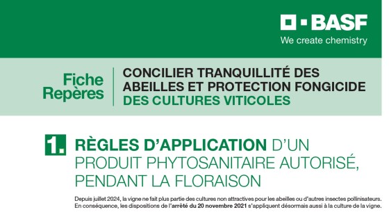 Fiche Repère : concilier tranquillité des abeilles et protection fongicide des cultures viticoles
