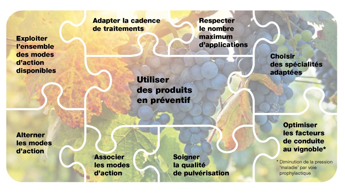 gérer les modes d'action en viticulture